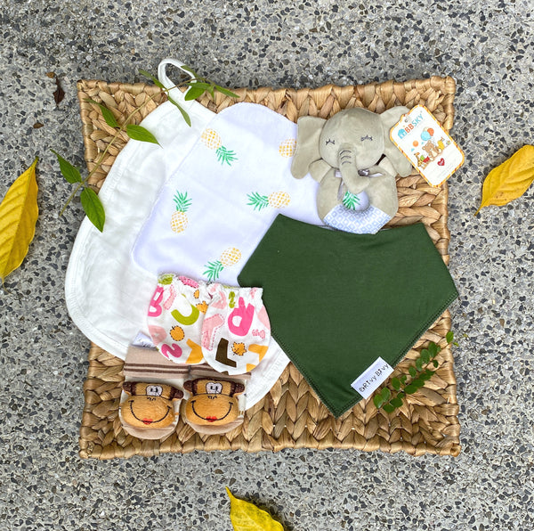 Gift Set for Baby Boys